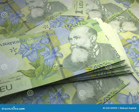 Romanian Money Romanian Leu Banknotes Ron Lei Bills Royalty Free