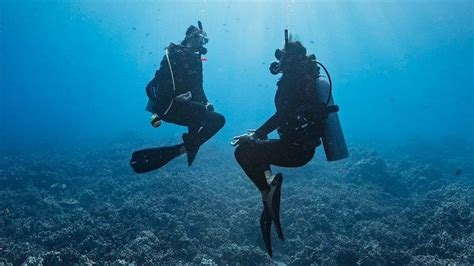 Peak Performance Buoyancy In Bali Neptune Scuba Diving