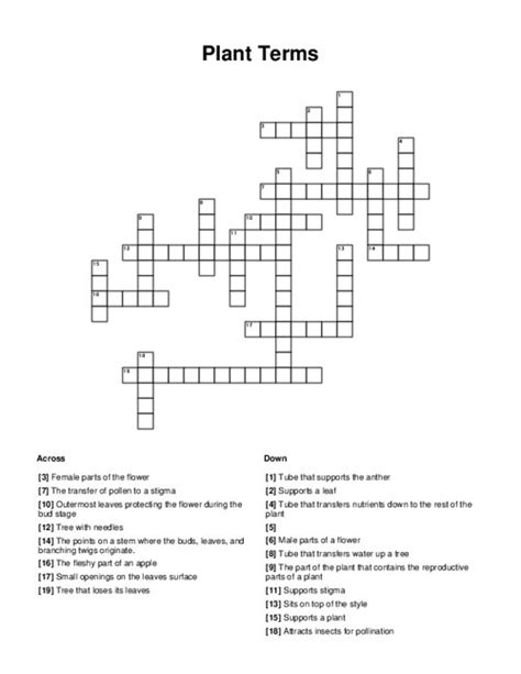 Flower Part Definitions Crossword Puzzle Answer Key Best Flower Site