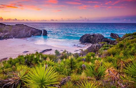 What's the Best Pink Sand Beach in Bermuda?