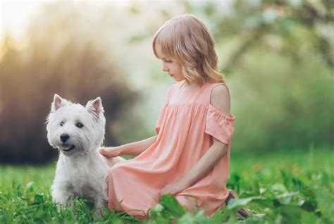 Cachorro para criança Veja porque essa é uma ótima ideia Petz