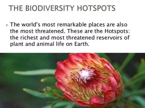 Hotspot of Biodiversity | PPTX