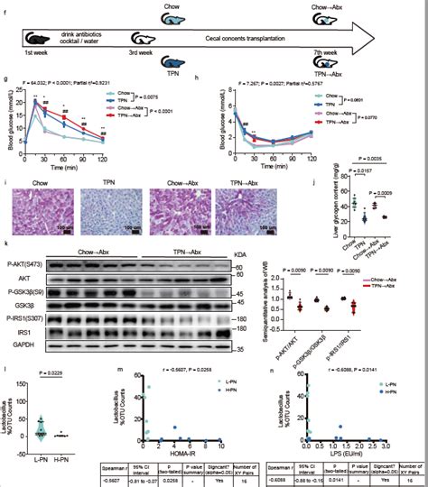 Nature Metabolism Reported The Mechanisms Of TPN Related Glucose