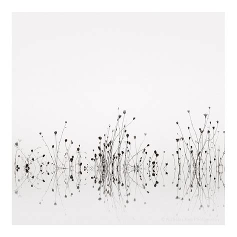 Black and White Photography, Abstract Photography, Minimalist ...