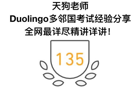 Duolingo多邻国考试135分经验分享 全网最详尽精讲详讲 2p 哔哩哔哩