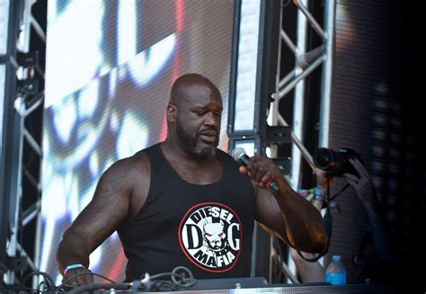 DJ Diesel Live at Lollapalooza [GALLERY] - Chicago Music Guide