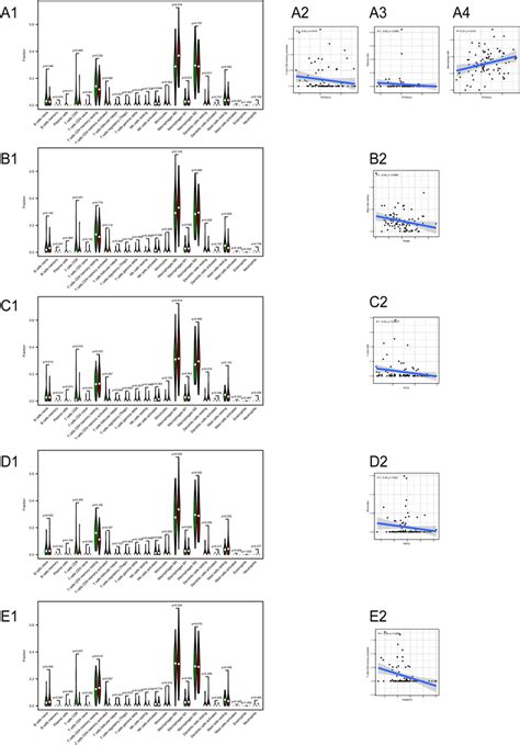 Violin Diagram And Correlation Diagram Of Immune Cells A1 Violin