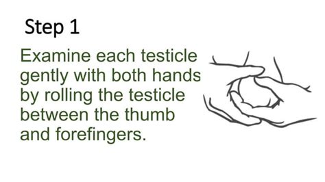 Testicular Self Examination