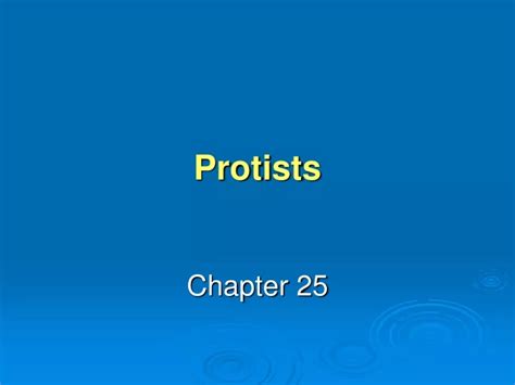 Ppt Protists Powerpoint Presentation Free Download Id9364211