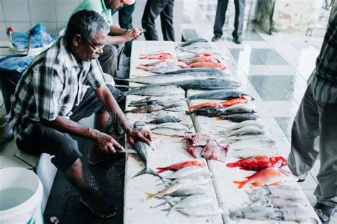 Fish For Sale At The Fish Market In The City Of Male Capital Of