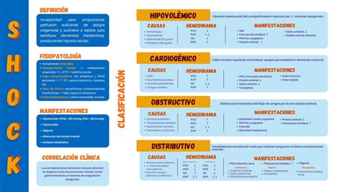 Fisiopatolog A De Los Diferentes Tipos De Choques Lucia Alvarez