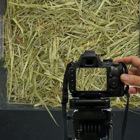 Quality Assurance - Hay Australia