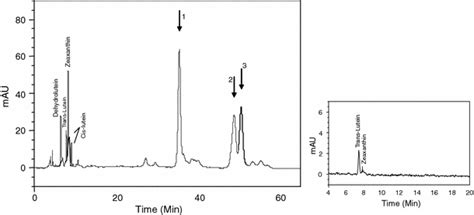 Representative Chromatograms From Hplc Analysis Of Periorbital Skin