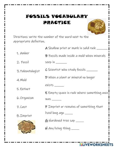 Fossils Worksheet Teacher Made Twinkl Worksheets Library