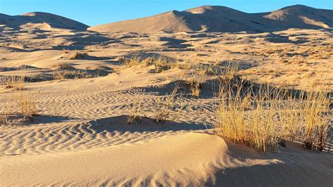 Hike the Kelso Dunes (U.S. National Park Service)