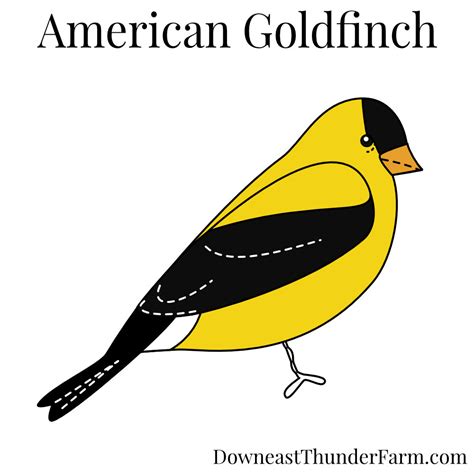 Free American Goldfinchs Download Free American Goldfinchs Png Images