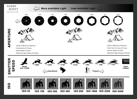 Portrait Photography Cheat Sheet