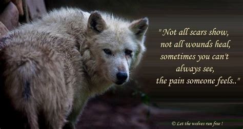 53 best lone wolf quotes images on Pinterest | Wolves, My life and ...