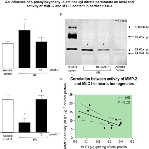 Reduction Of Mmp‐2 Synthesis And Activity During Infusion Of