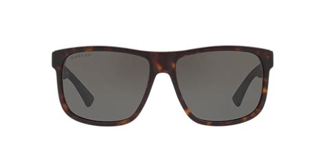 Gucci Gg0459s 54 Brown And Tortoise Sunglasses Sunglass Hut Usa