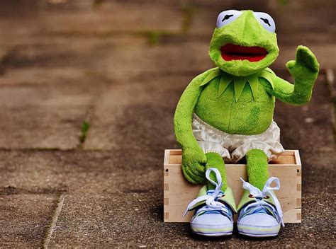 Kermit Der Frosch Lustige Bilder Deutsch 2 402 Kermit Der Frosch