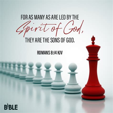 Romans Bible Verse Of The Day Biblemeal