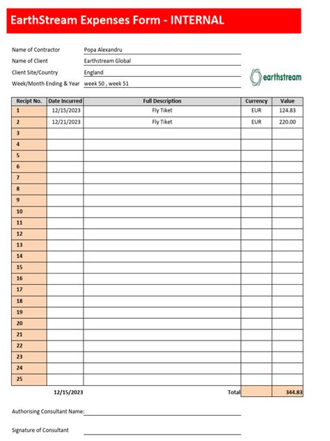 ESG - Expense Sheet Popa Alexandru | PDF