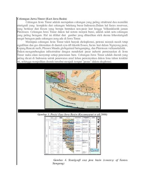 Cekungan Jawa Timur Pdfcoffee
