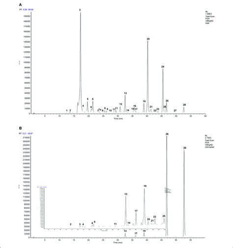 Representative Hplc Uv Chromatograms 240 400 Nm Of The Phenolics In Download Scientific