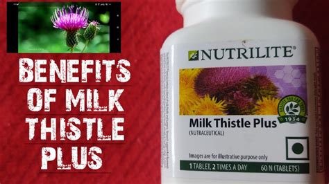 AMWAY Nutrilite Milk Thistle Plus Benefits Review