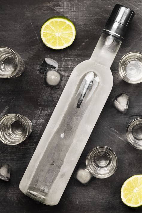 Vodka 101: An Introduction to the Popular Liquor