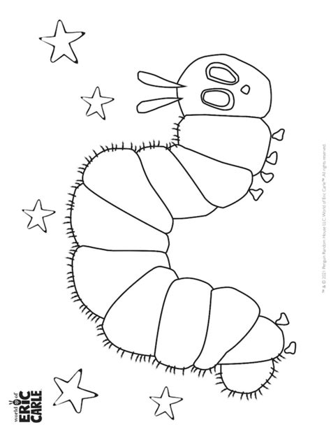 Library Media Center Drawing Sheet Owl Party Eric Carle Coloring