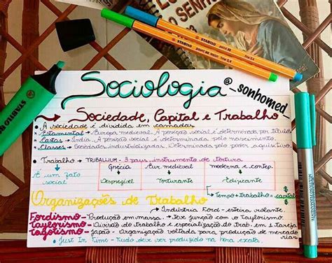 Resumo De Sociologia Study Notes Study Organization Mental Map