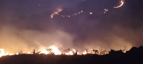 Incendio Forestal En Quilanga Arrasa Con Hect Reas Autoridades