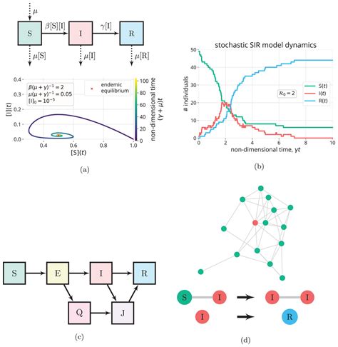 The SIR Dynamic Model Of Infectious Disease Transmission And Its