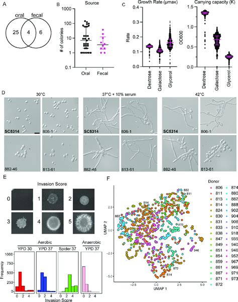 Characterization Of Isolates From Healthy Donors Reveals Extensive