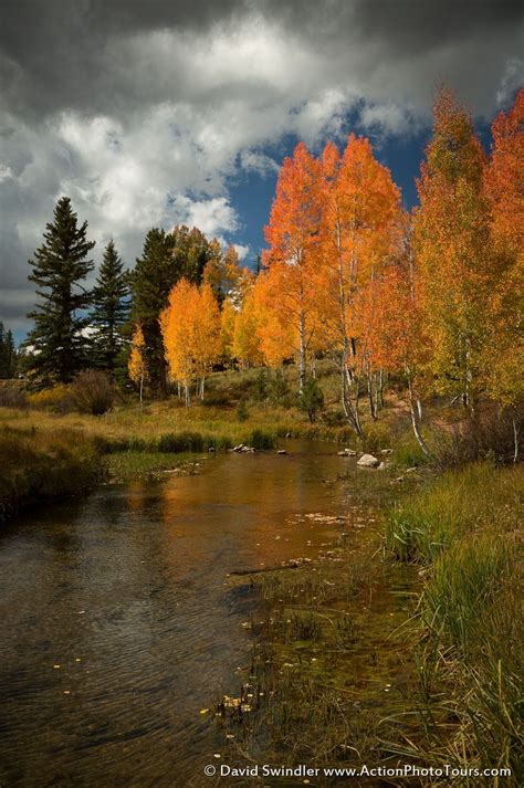 Duck Creek The Fall Colors Around Utah S Duck Creek Rarely Disappoint