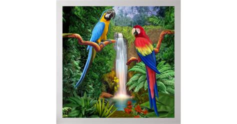 Macaw Tropical Parrots Poster Zazzle