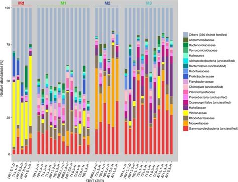 Pdf Metabarcoding Reveals Distinct Microbiotypes In The Giant