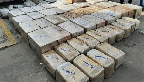 Narco En Nuevo León Decomisaron Cientos De Kilos De Marihuana En Cajas