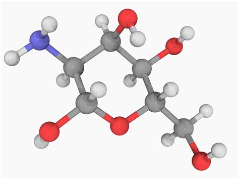 Glucosamine Molecule 2 By Laguna Design Science Photo Library