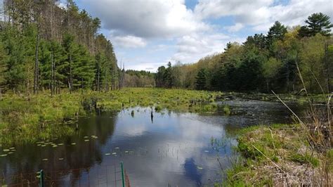 Wells State Park Sturbridge Ma Top Tips Before You Go With Photos