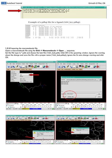 Autodock Made Easy With MGL Tools Molecular Docking PDF