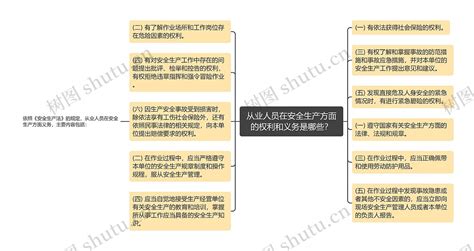 从业人员在安全生产方面的权利和义务是哪些？思维导图编号p8713883 Treemind树图