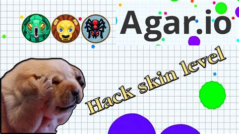 Agar io hack skin level l สอน hack Agar io YouTube