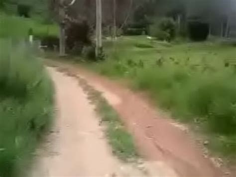 HD Peladao Na Natureza XVIDEOS