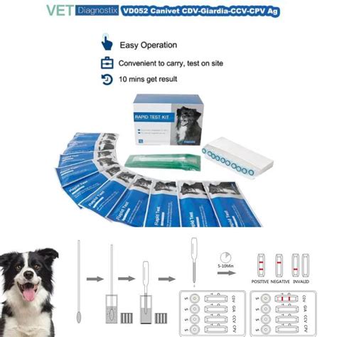 Canivet Cdv Giardia Ccv Cpv Ag Combo Test Distemper Giardia Corona