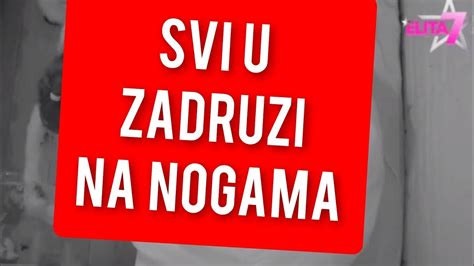 SVI U ZADRUZI NA NOGAMA OVO SU SVI CEKALI NEVERICA YouTube