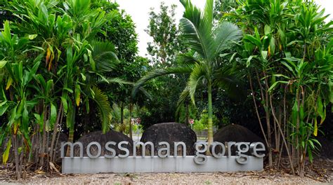 Dreamtime Walks | Mossman Gorge Centre