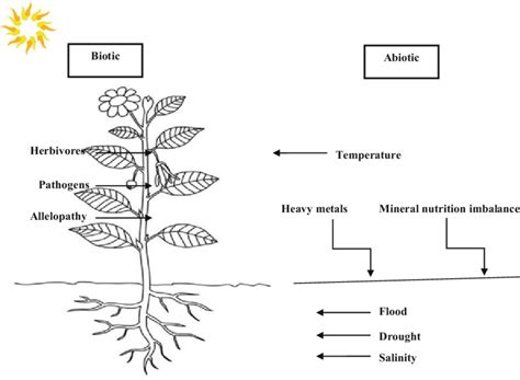 2 Biotic And Abiotic Stress Experienced By Plants Ahmad And Rasool 2014 Download Scientific